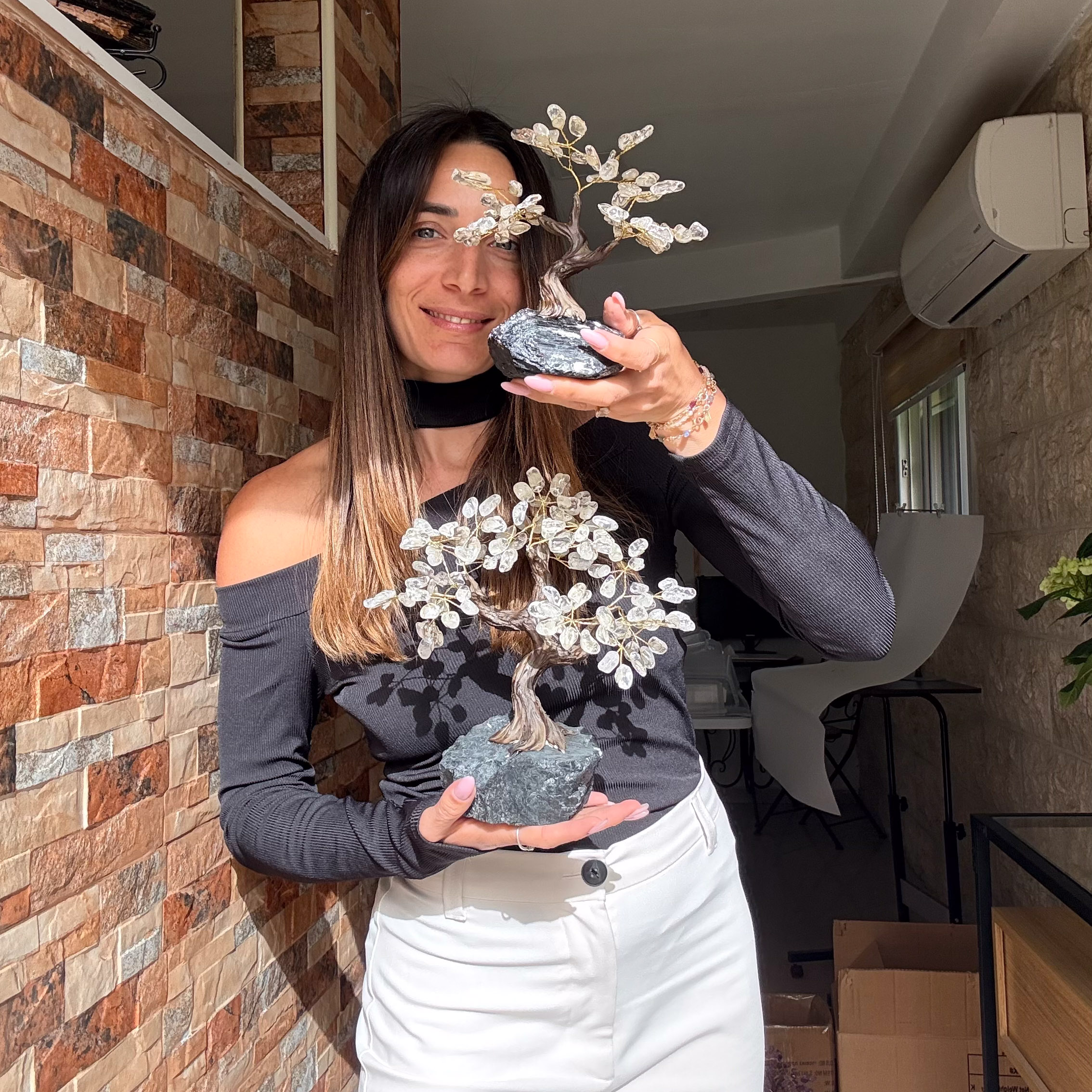 העץ הנדיב טורמלין שחור על קוורץ בינוני