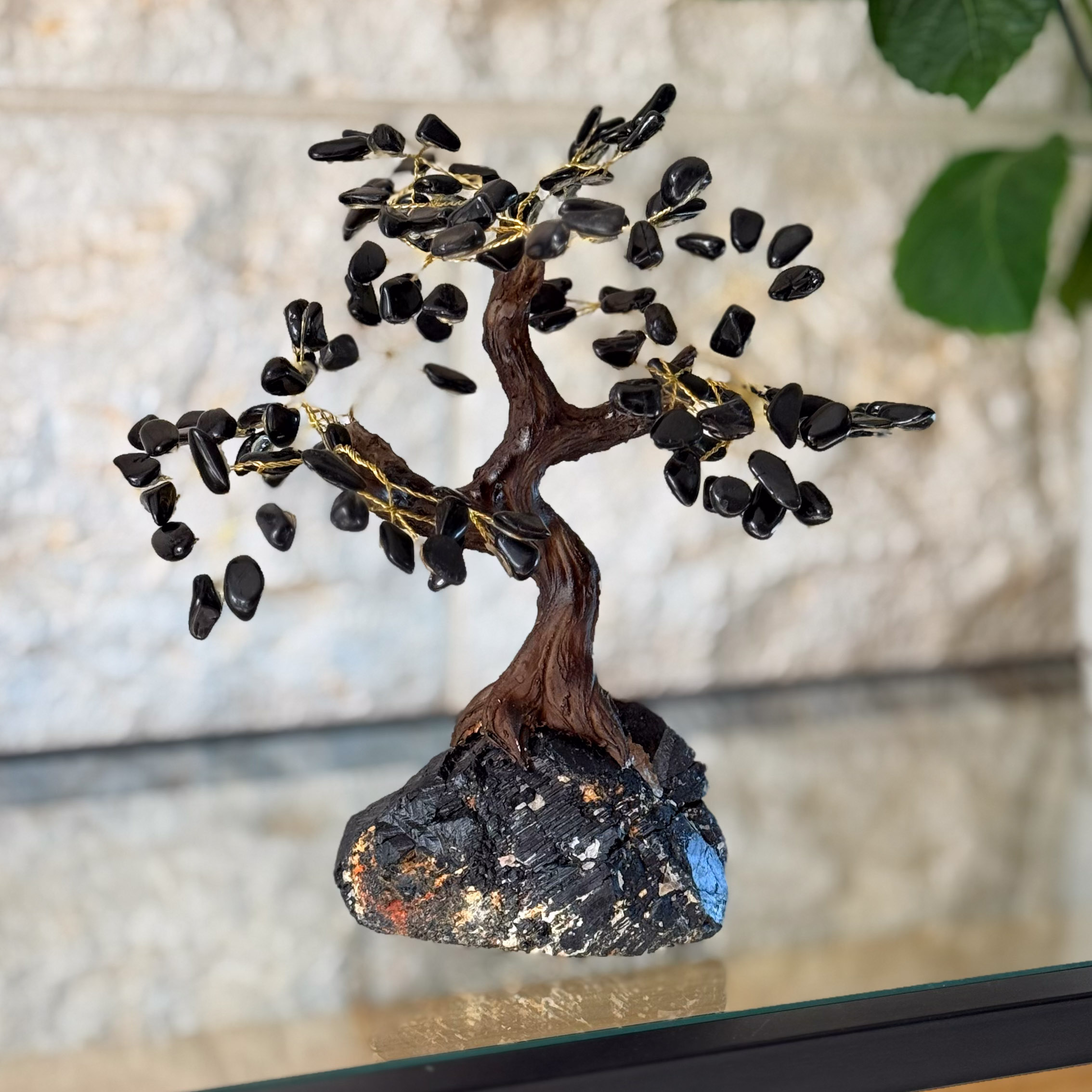 העץ הנדיב טורמלין שחור על טורמלין שחור גדול