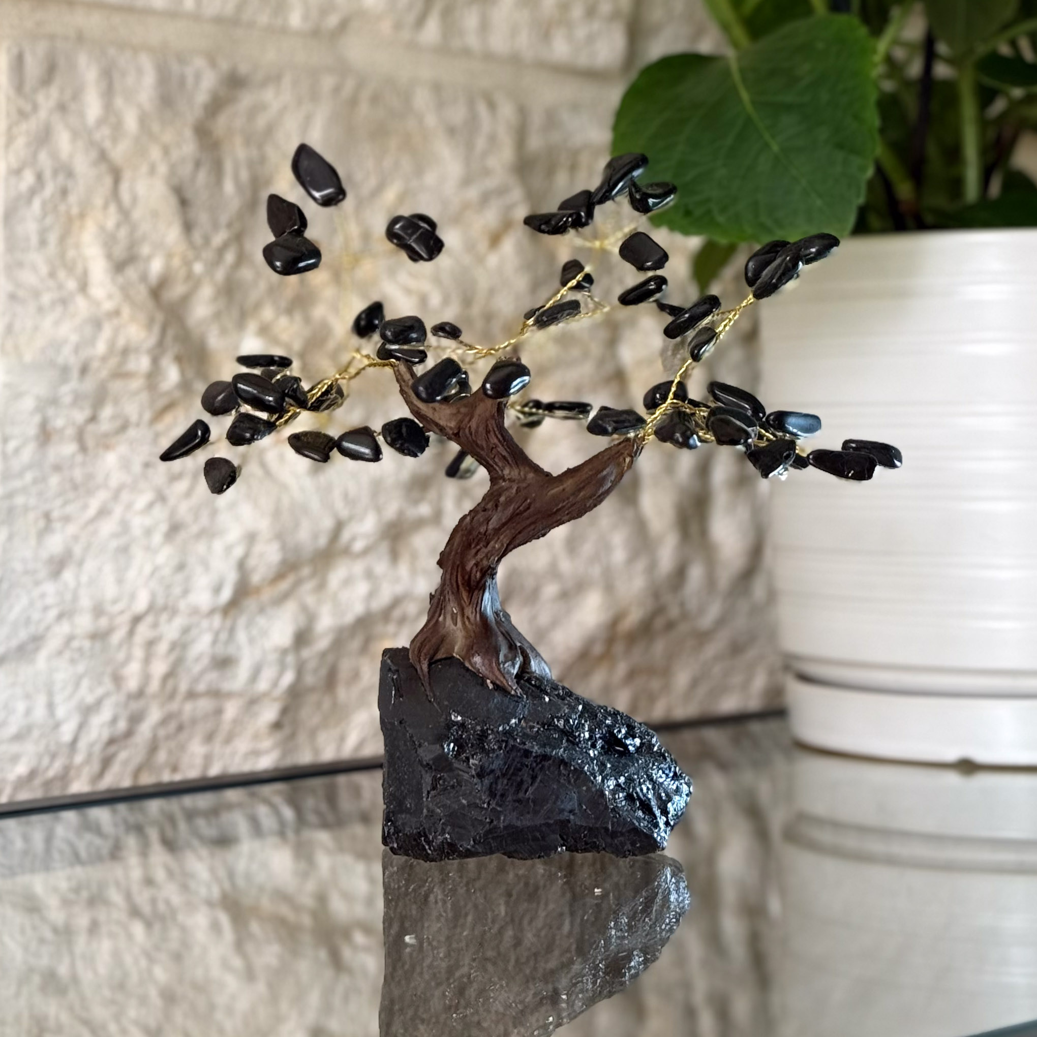 העץ הנדיב טורמלין שחור על טורמלין שחור בינוני