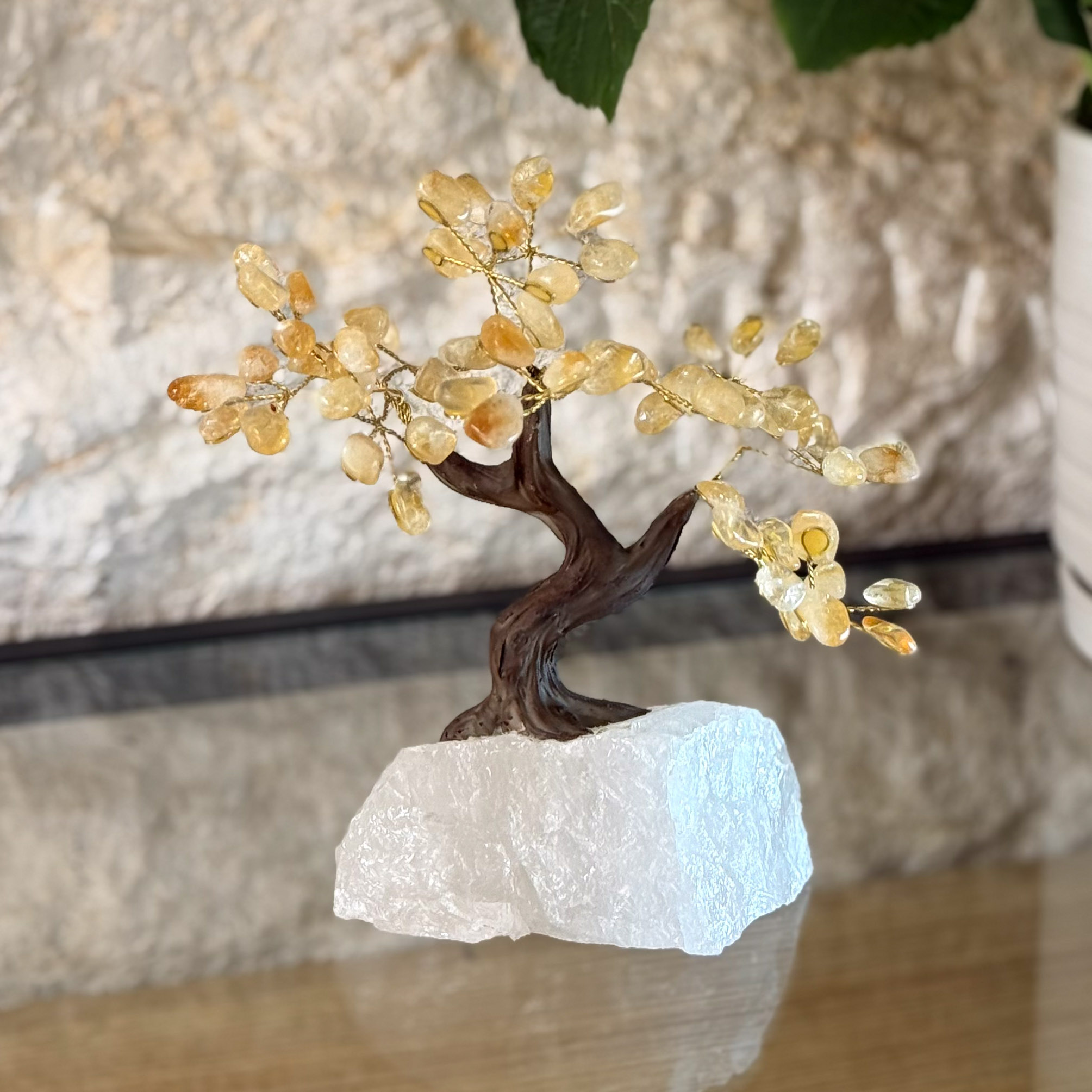 העץ הנדיב סיטרין על קוורץ בינוני