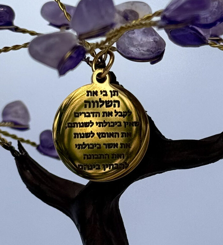 העץ הנדיב טורמלין שחור על קוורץ בינוני