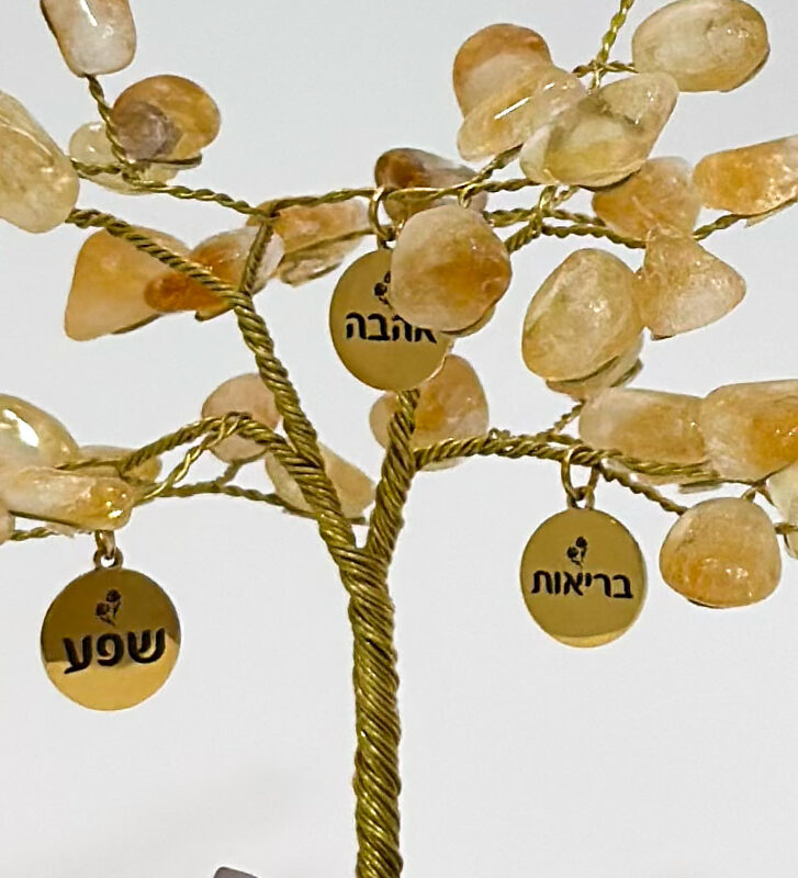 העץ הנדיב קוורץ על טורמלין שחור פיצי