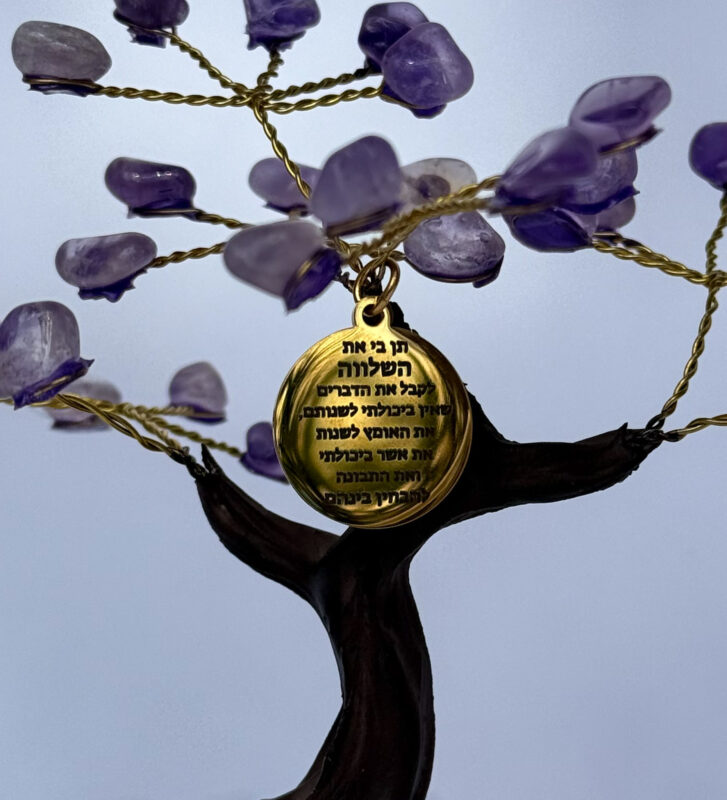 העץ הנדיב טורמלין שחור על קוורץ בינוני