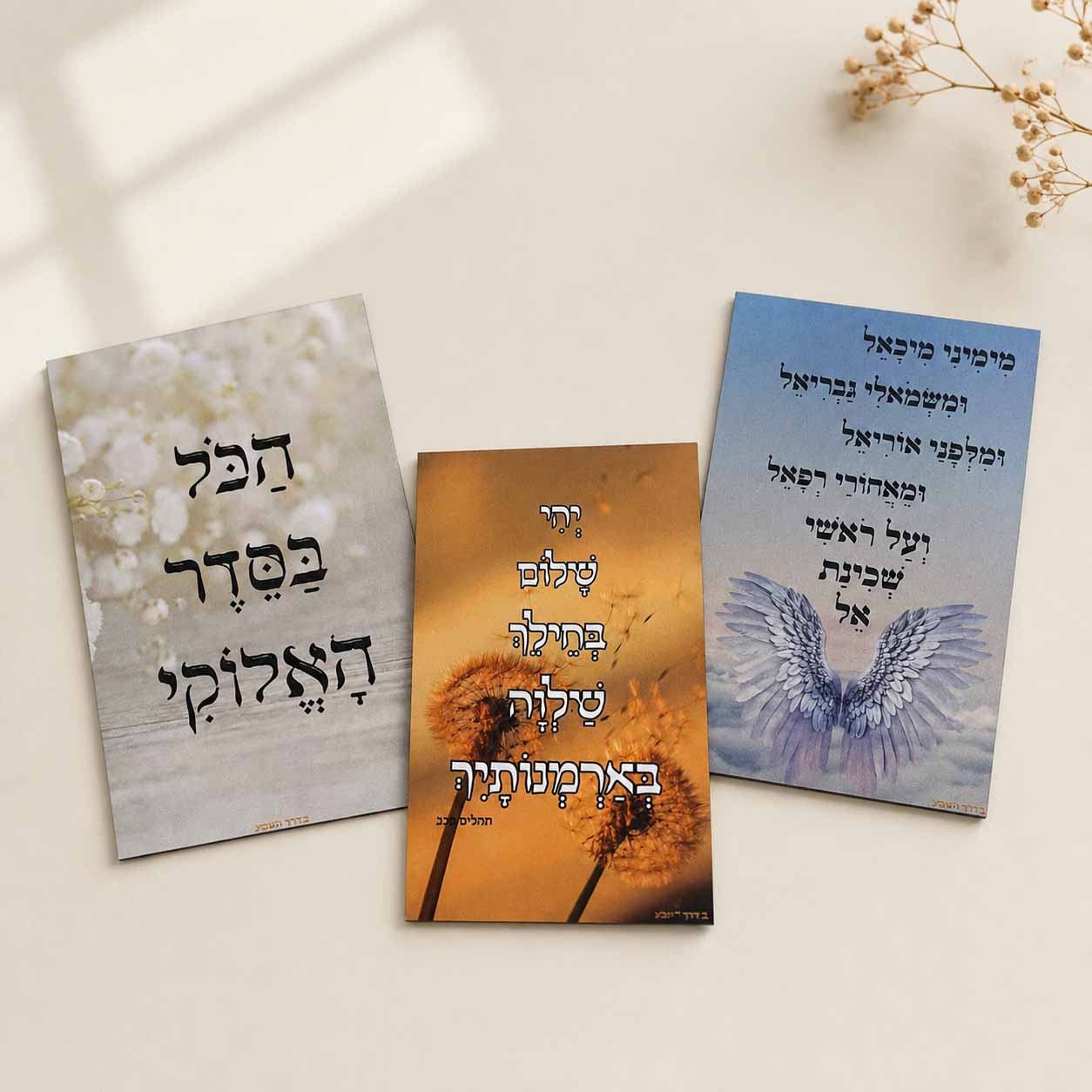 3 מגנטים משפטי העצמה והשראה